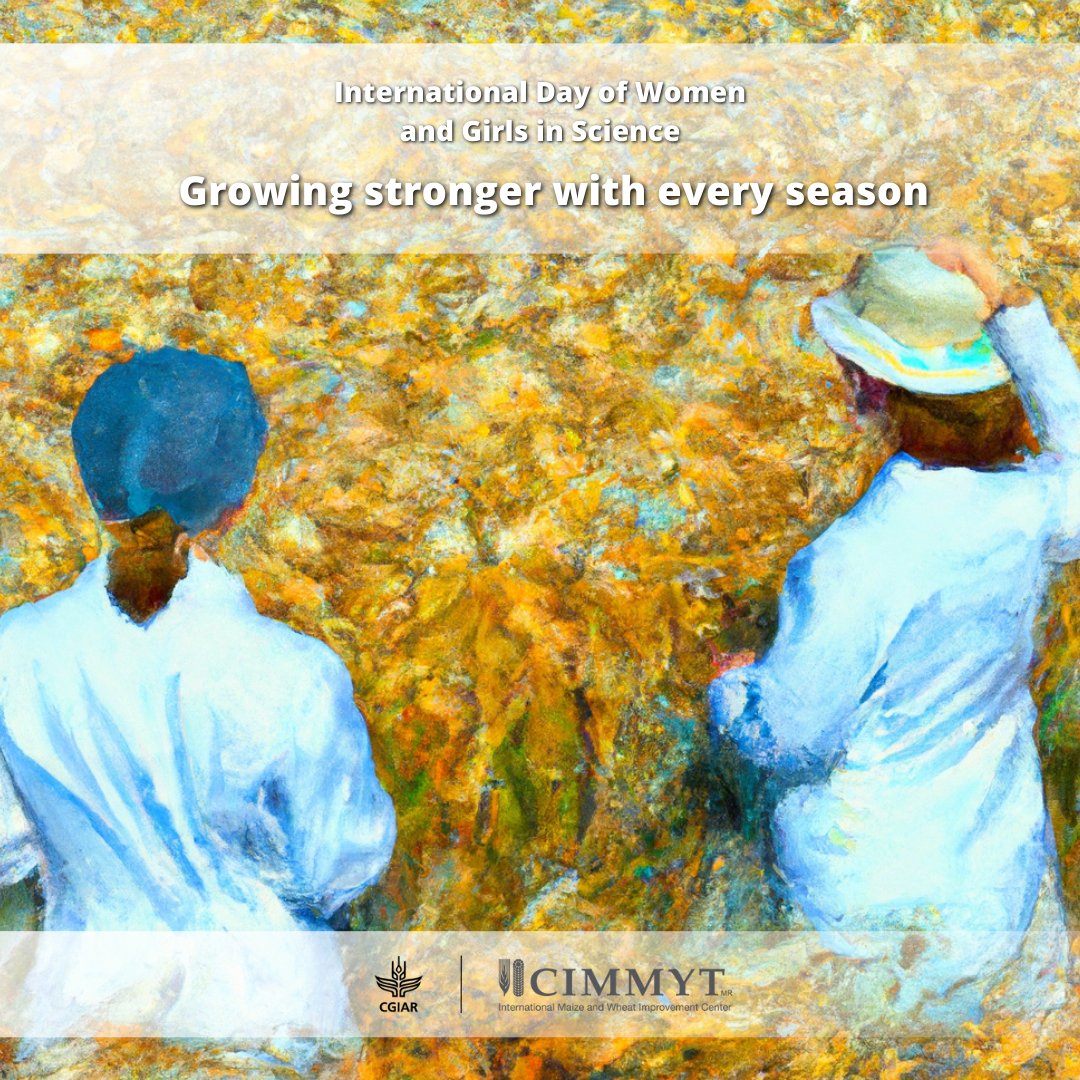CIMMYT's tweet photo. At CIMMYT we work hard to bring diverse backgrounds, opinions, skills and cultures together. We are stronger as a result.
Meet the #WomenInScience who work hard at CIMMYT to fight poverty and hunger 👉 https://t.co/f7X8b8cwEe
#WhyIChoseScience @CGIARgender https://t.co/nGSNKVro9b
