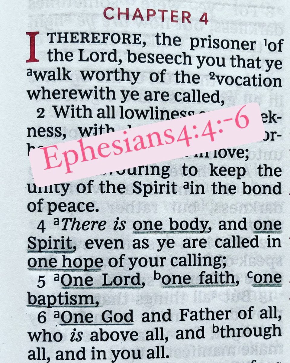WalkByTheLord's tweet photo. ONE Body…

ONE Spirit…

ONE Hope…

ONE Lord…

ONE Faith…

ONE Baptism…

ONE God… and Father is all, who is above all ❤️

#JesusChrist #KingOfKings #DailyBread #FatherGod https://t.co/J3qCmRKuBh