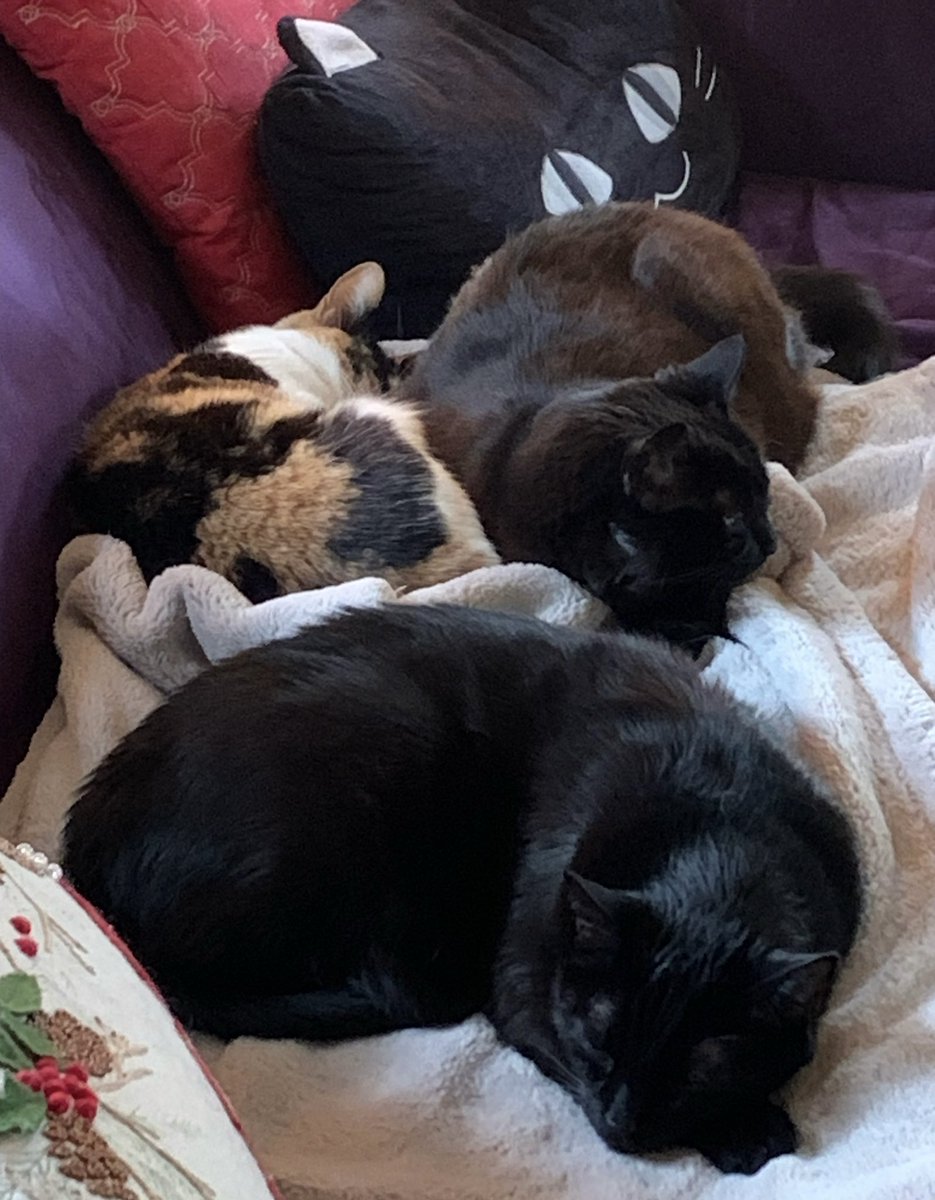 Tamlyn Tomita tweet media