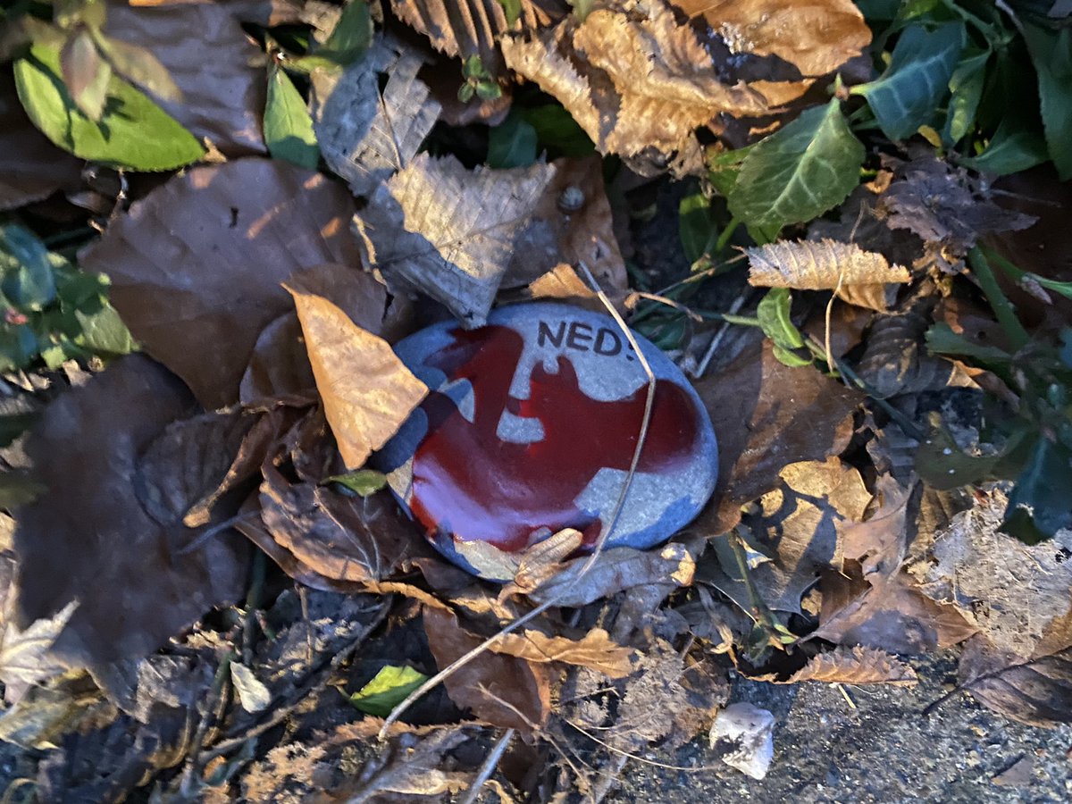 HGFSchool's tweet image. How many NED pebbles can you find around Holmer Green? Once you find one, take a photo, share it on Twitter and then hide it somewhere new for someone else to find!
#ned #nevergiveup #encourageothers #doyourbest #community #schoolmotto