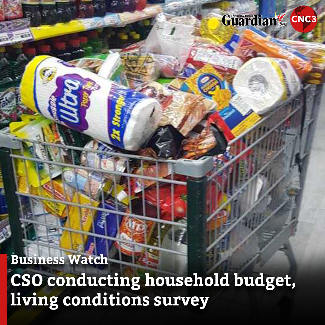 Household Budget Survey Questions
