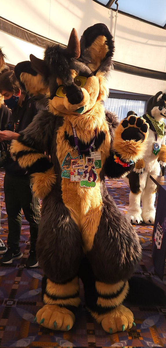 _founded_'s tweet image. Hello!! I’m Founded, a half-dragon half-wolf sometimes-cat that hangs around on the internet being a BME/math nerd. I’m a @grayestREM suiter (suit’s name is Emerald) posting #FursuitFriday pictures. Odds are I’m at a con near you! 

📸: [deleted], @oatsirat, and @BunFullOfSun