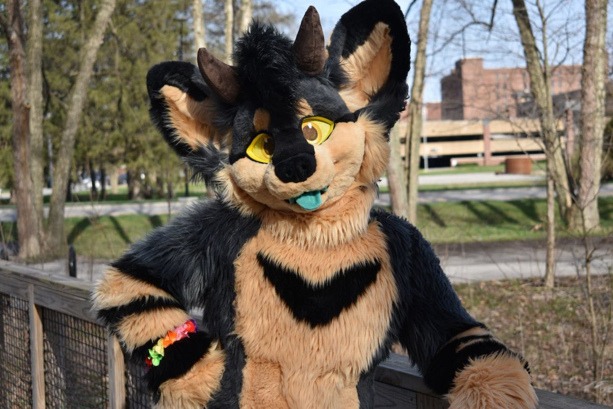 _founded_'s tweet image. Hello!! I’m Founded, a half-dragon half-wolf sometimes-cat that hangs around on the internet being a BME/math nerd. I’m a @grayestREM suiter (suit’s name is Emerald) posting #FursuitFriday pictures. Odds are I’m at a con near you! 

📸: [deleted], @oatsirat, and @BunFullOfSun