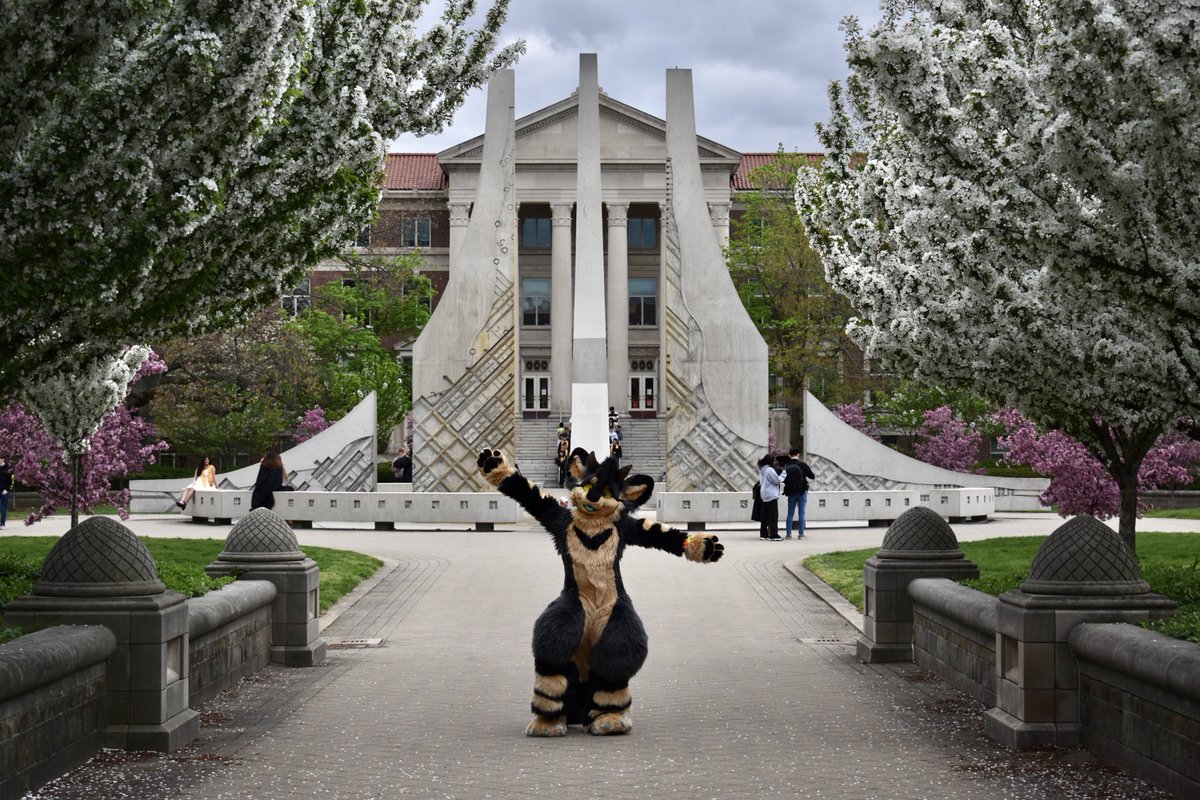 _founded_'s tweet image. Hello!! I’m Founded, a half-dragon half-wolf sometimes-cat that hangs around on the internet being a BME/math nerd. I’m a @grayestREM suiter (suit’s name is Emerald) posting #FursuitFriday pictures. Odds are I’m at a con near you! 

📸: [deleted], @oatsirat, and @BunFullOfSun