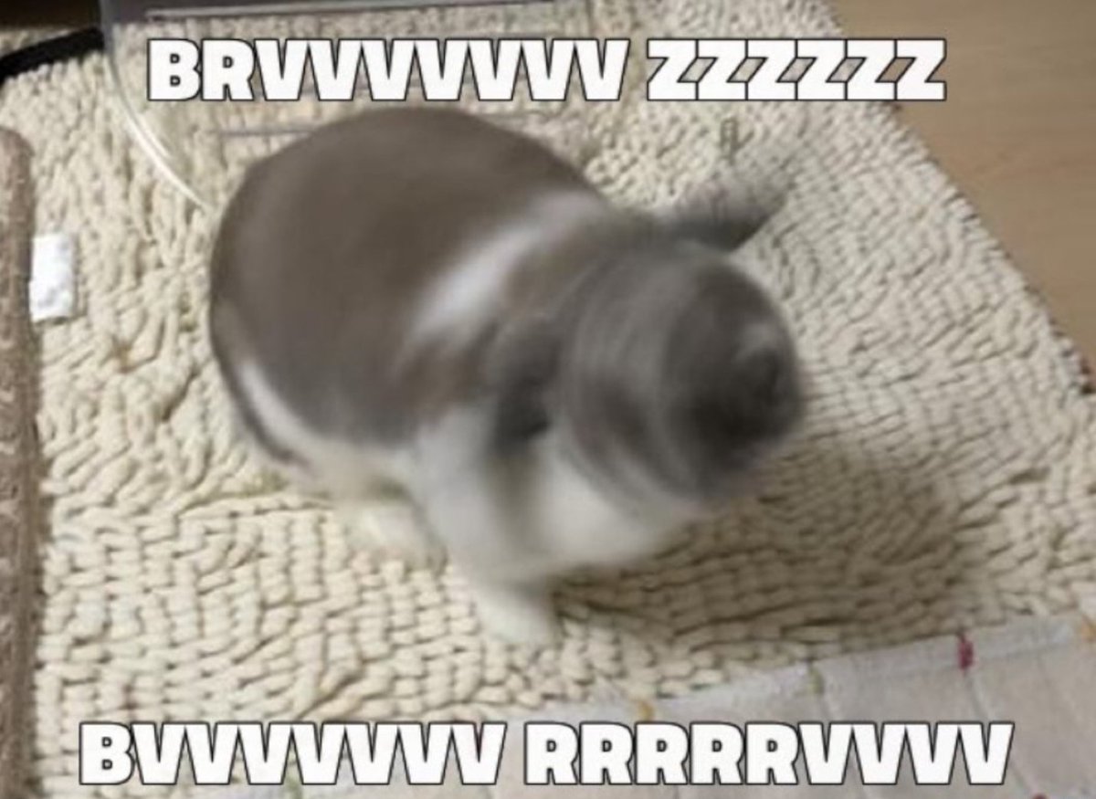 RabbitEveryHour's tweet photo. https://t.co/4u1CQ9itod