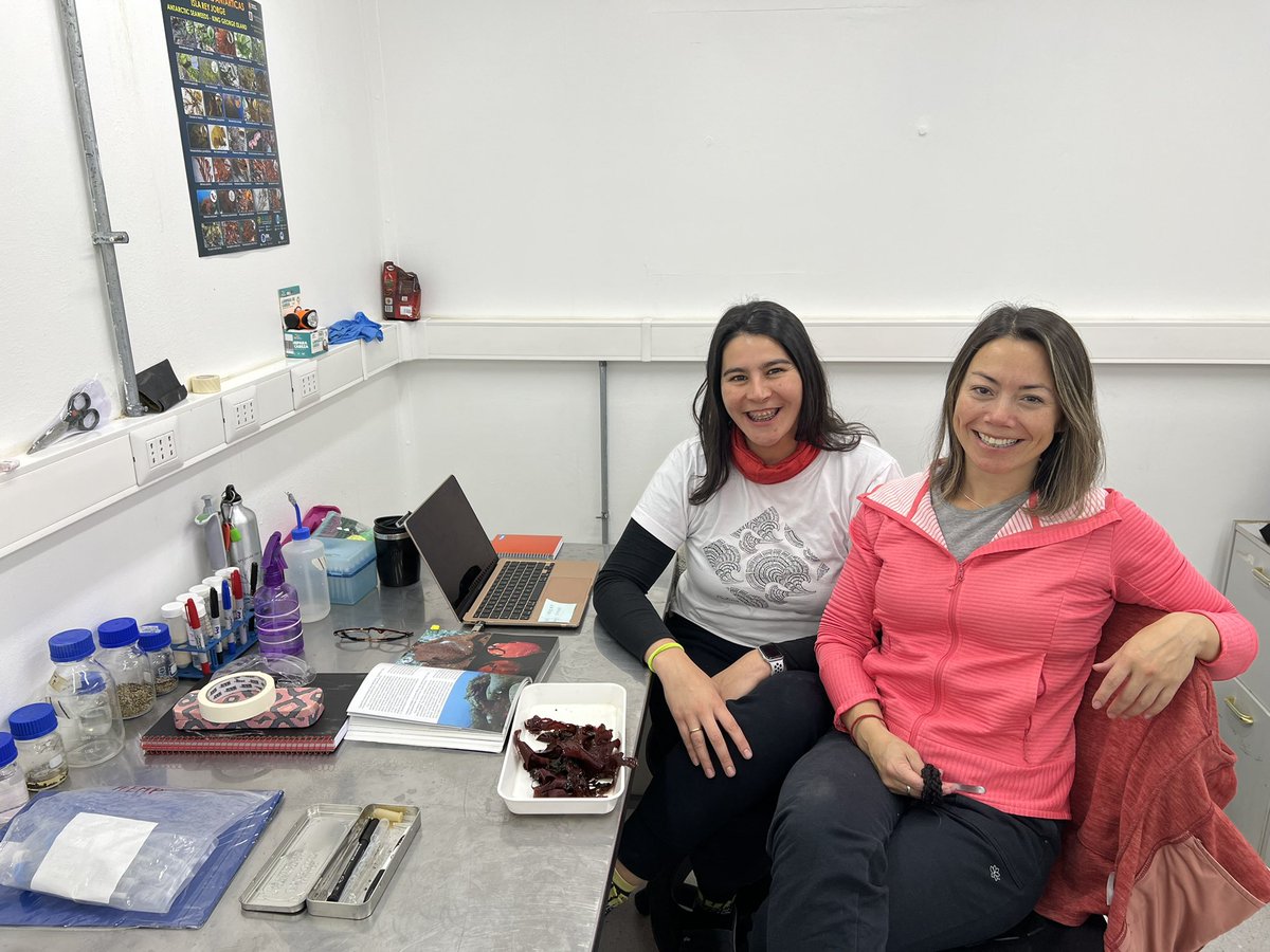 Girls giving their best on internacional STEM day at Antarctica Escudero station. Congrats!!!. #STEM #WomanInScience <a href="/SedeUACh/">Sede Pto. Montt UACh</a> <a href="/MacroalgasUACh/">Macroalgas y Ficopatología UACh</a>