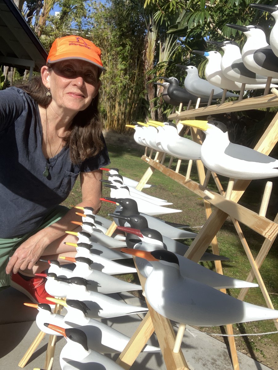 AudubonPuffin's tweet photo. To celebrate @WomenScienceDay (https://t.co/6bNSHTKwXI), here's Seabird Institute's “Seabird Sue” Schubel &amp; her "Terns of the World” display that she'll take to a @PacificSeabirds meeting next week. Based on colors/range maps (not size), viewers can test their tern ID knowledge. https://t.co/BkHafg35tC