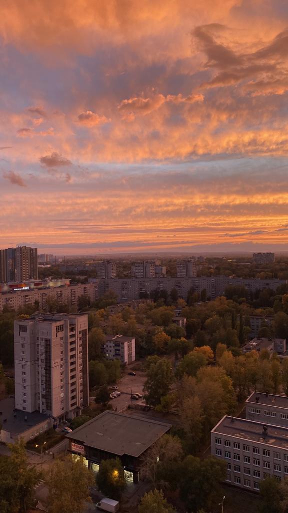 wonderfulsaturn's tweet image. 