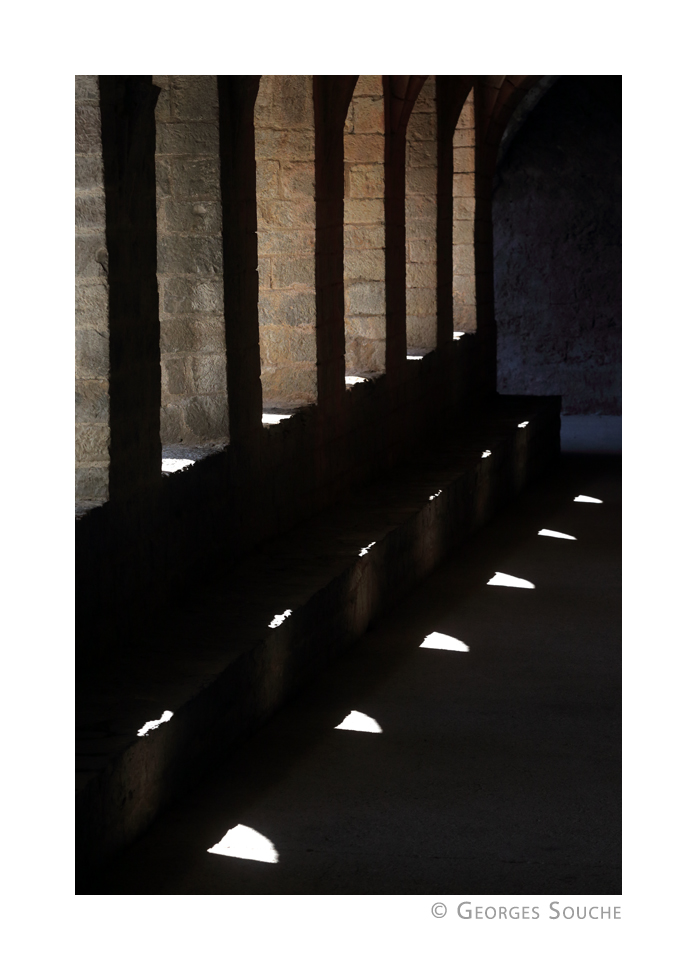 Georges Souche Photographe tweet media