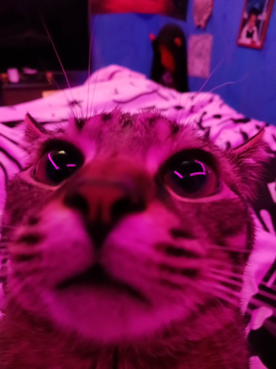 Tonya (She\Her) on Twitter: 