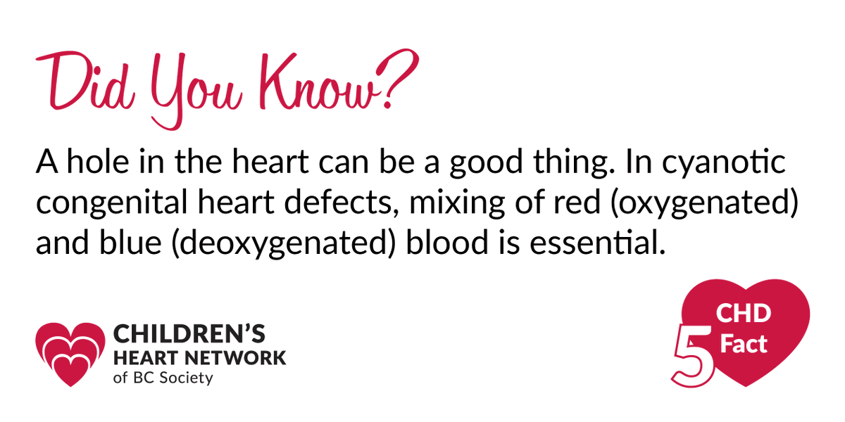 Did You Know? A hole in the heart can be a good thing. In cyanotic congenital heart defects, mixing of red (oxygenated) and blue (deoxygenated) blood is essential. #CHDFact #CHDAwarenessWeek