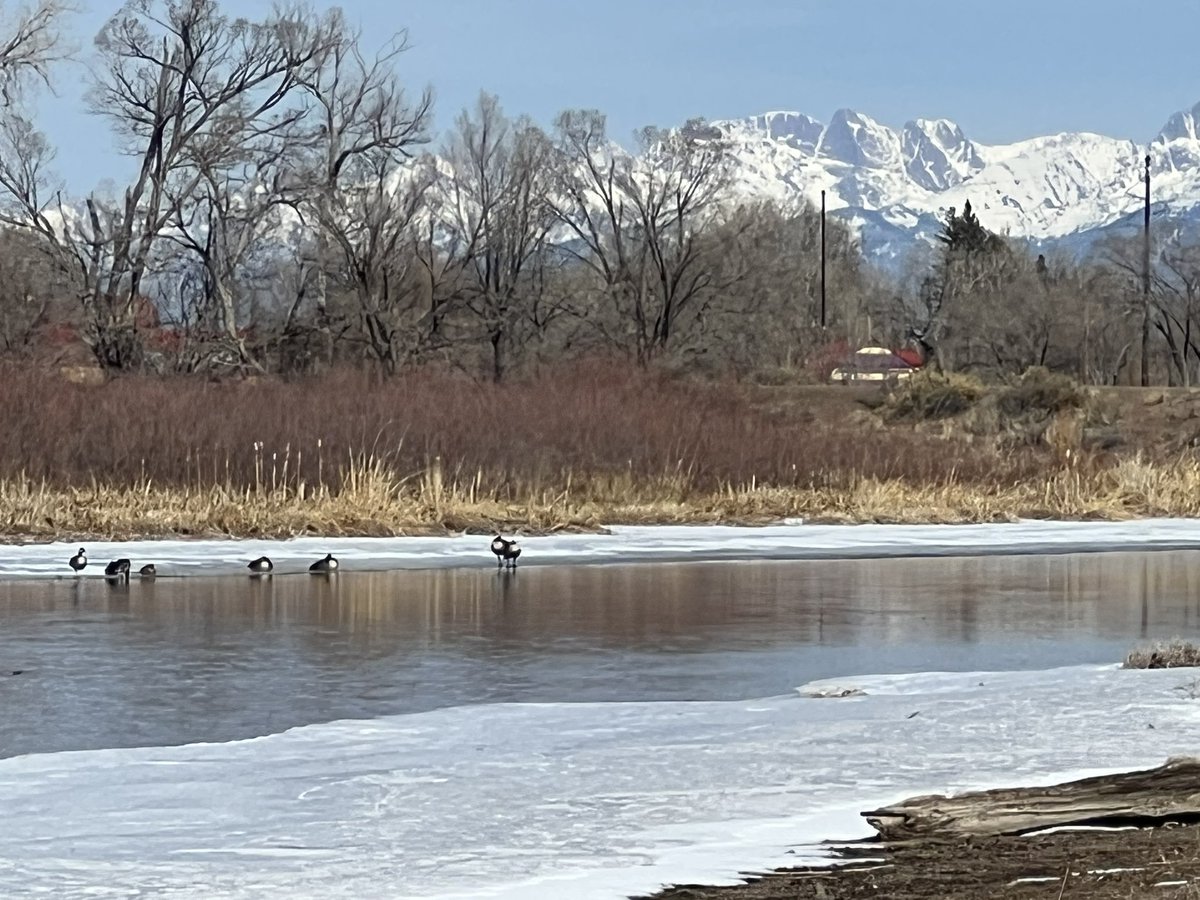 alamosacitizen's tweet photo. Standing in the middle of the Rio Grande. It’s drying faster than we can comprehend. #SanLuisValley #Colorado https://t.co/ozbzOvu0d5