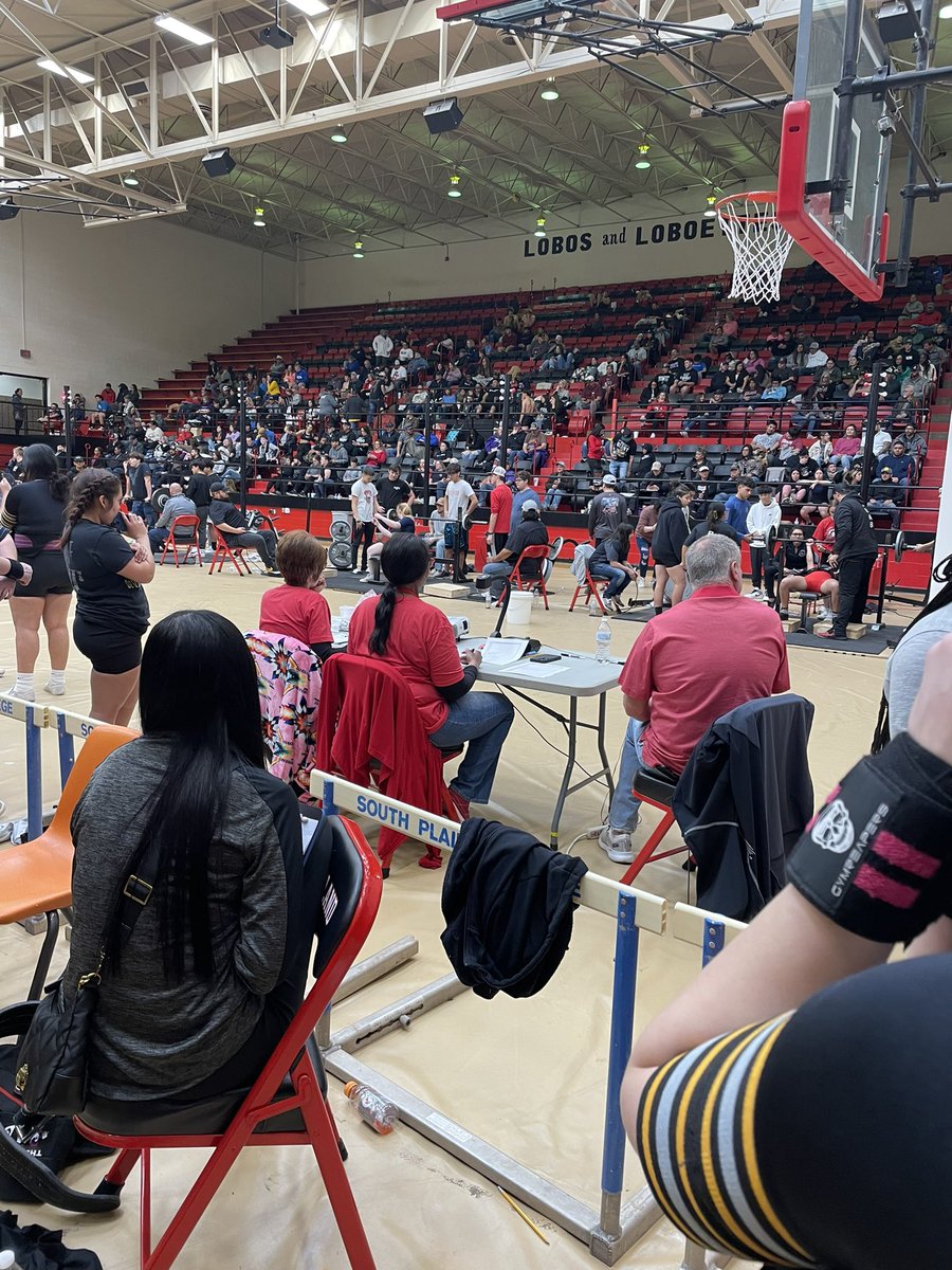 Powerlifting day ! Go Mojo !