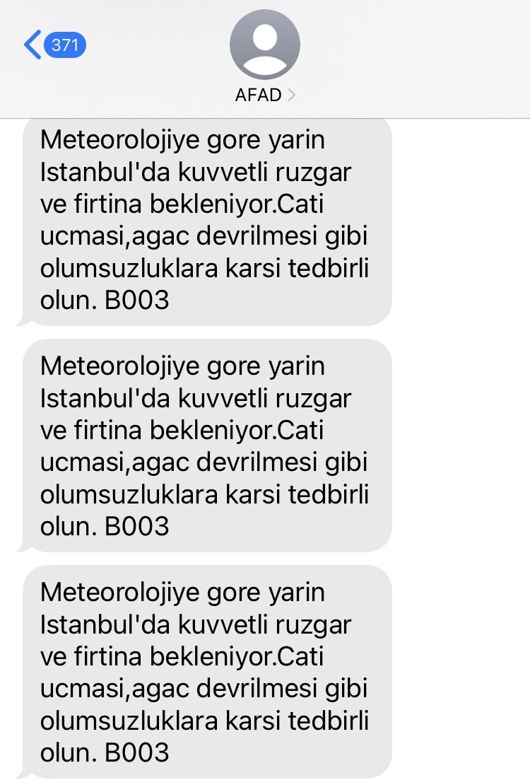 sinem bahar celebi tweet media