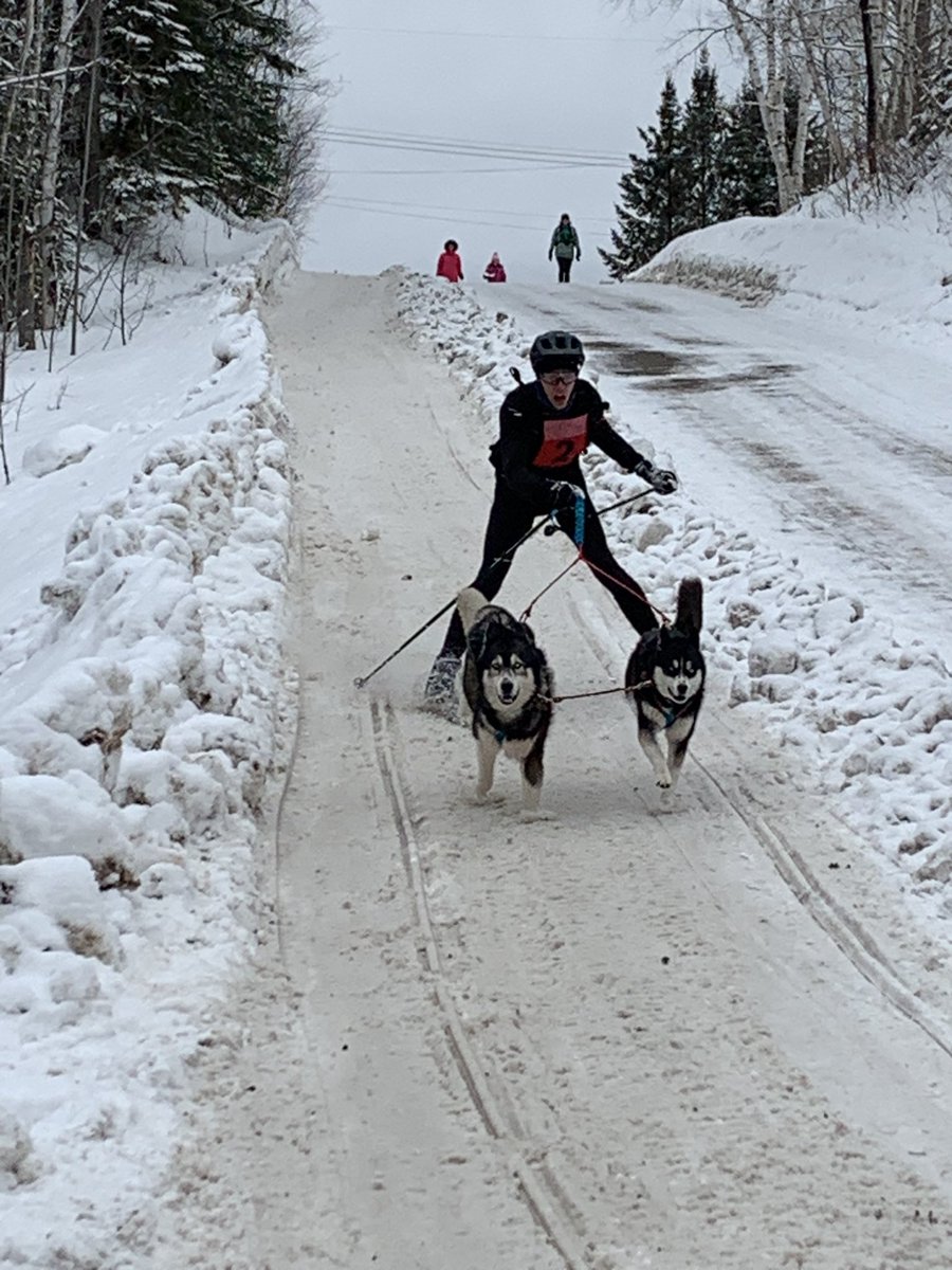 Great afternoon @ Kearny dog sled races. Also watched the 1&amp;2 dog Skijoring event.