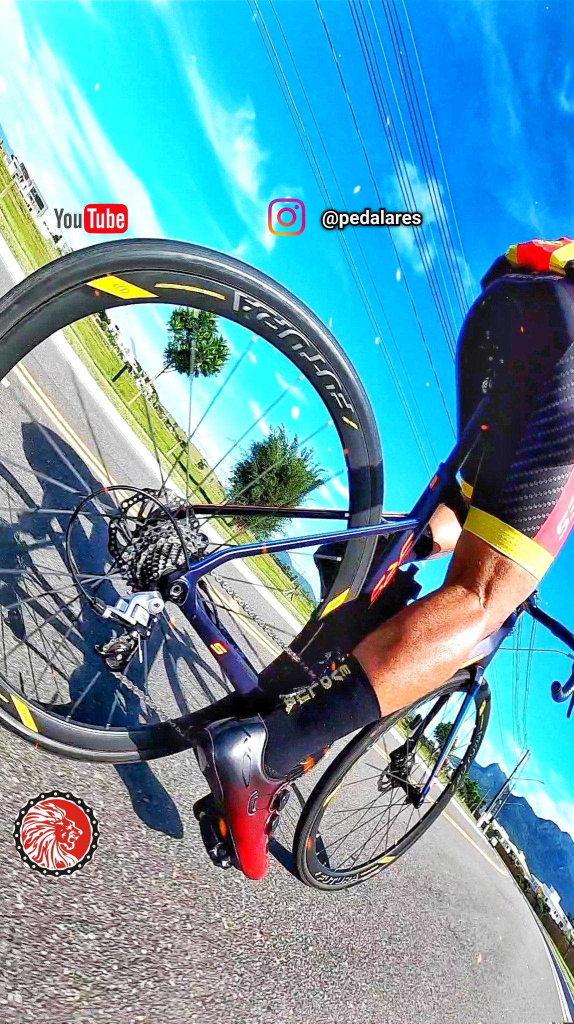 PedalarES on Twitter "EVOLUA PedalarES ciclismo cycling bike fy 