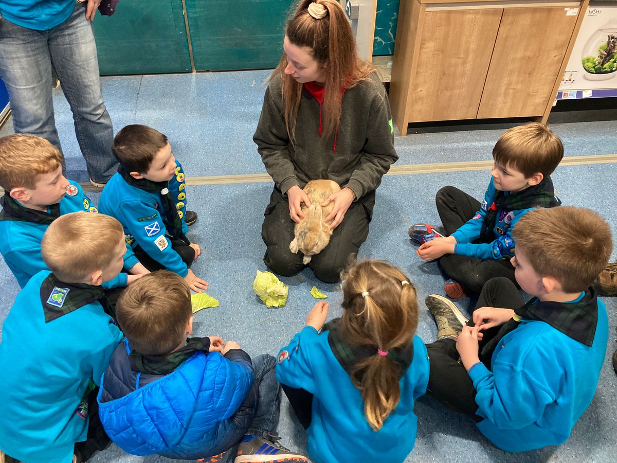 1st Kinross Beavers tweet media