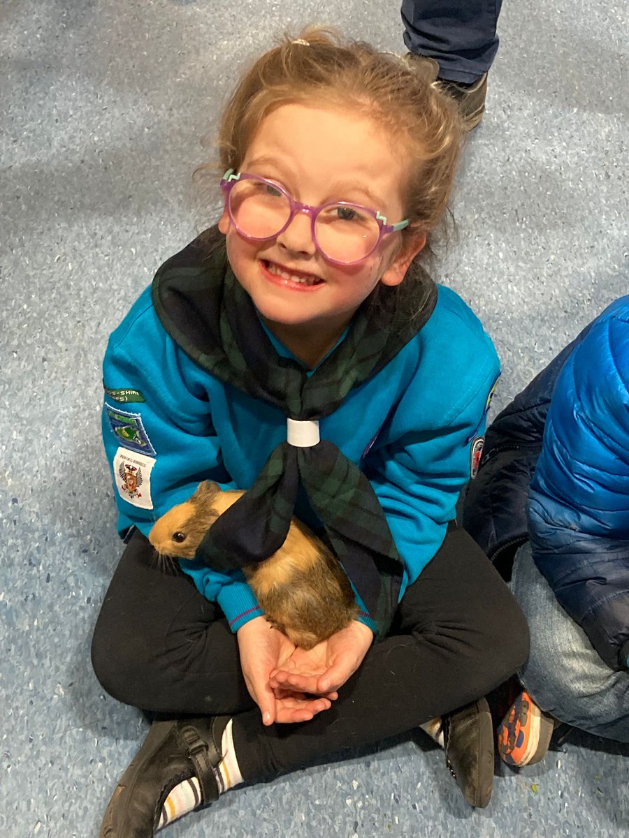 1st Kinross Beavers tweet media