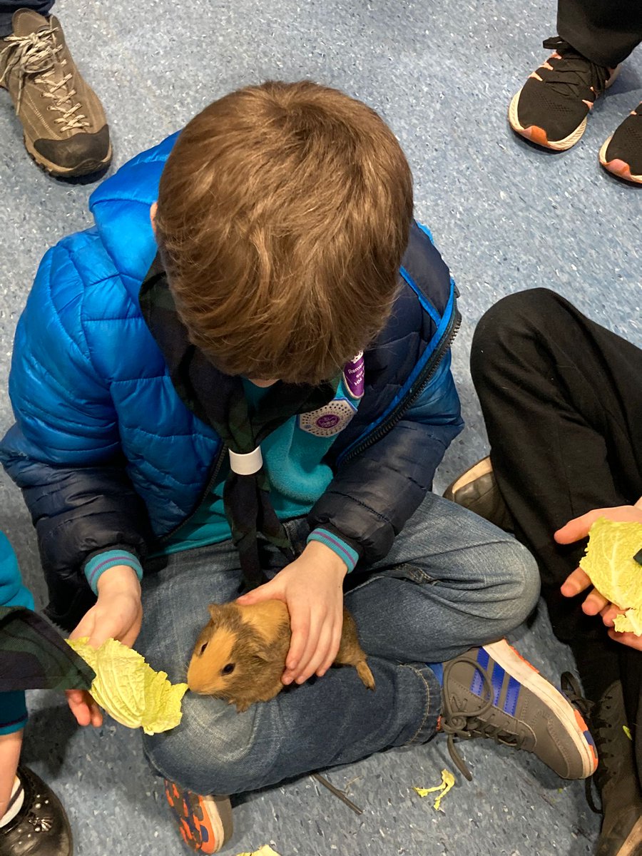🐹🐰⚜| Earlier this week some of our beavers visited <a href="/PetsatHome/">Pets at Home</a> in Dunfermline and they had a fantastic night as they got to learn about Rabbits, Guinea Pigs &amp; tropical fish. They even got to handle the Guinea Pig and feed the fish. #SkillsForLife