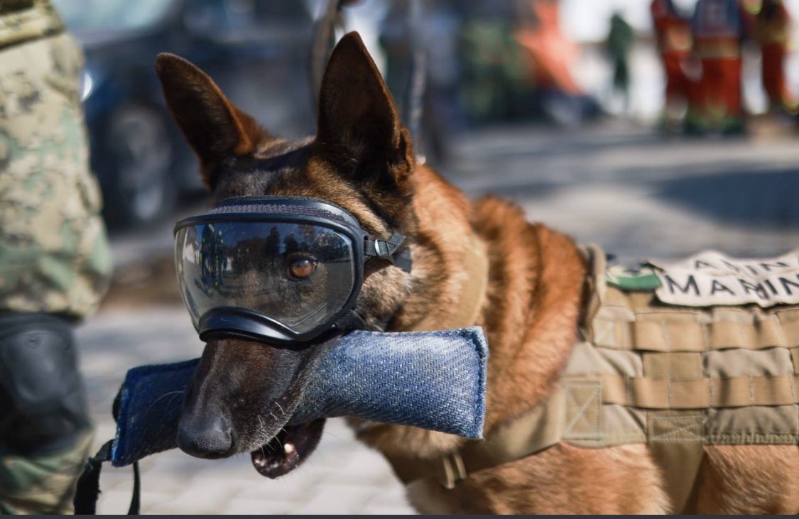 Rouux1's tweet photo. Nuestros héroes rescatistas salvan vidas!
Y nos llamamos humanos? https://t.co/r4ys2FQHpD