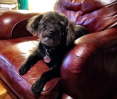 Rod Dreher on Twitter: "I thank you all for your kind words. Every day