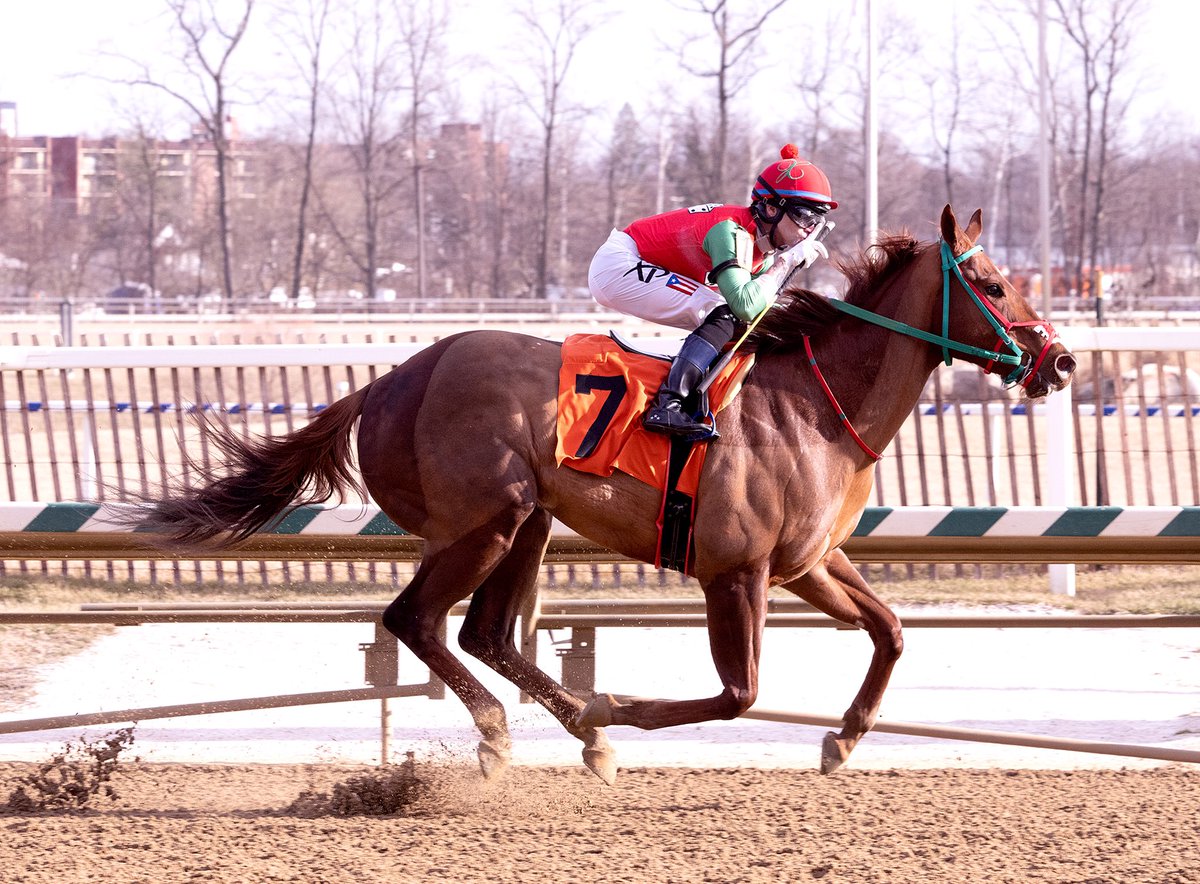 Maryland Horsemen tweet media