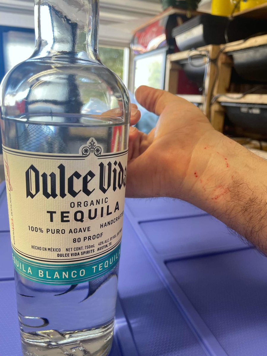 Matt_Dillahunty's tweet photo. Got a dream snake today. A female woma. As soon as we got her home, she bit me. First bite in many years... felt nothing. Tequila got her to let go. 

She can bite me anytime. :)

#ThanksDulceVida https://t.co/PKJdnrIWY9