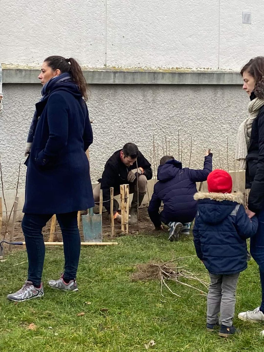 KarineBoissou's tweet photo. 𝐏𝐋𝐀𝐍𝐓𝐀𝐓𝐈𝐎𝐍𝐒] 🍒
Bravo aux élèves,à leurs parents,à l’équipe éducative,aux riverains pour ces nombreuses plantations au cœur du quartier
🤝Le résultat d'un travail multipartenarial et partagé
#arrastransitionecologique
#ArrasVilleComestibleSolidaire
#fredericleturque https://t.co/qTMWG6jrNb