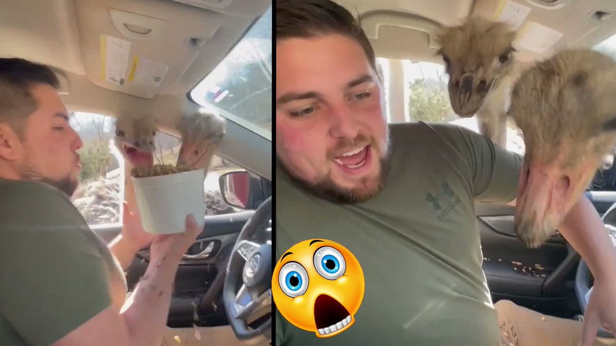 FunnyFailVidsYt's tweet photo. NEW YOUTUBE VIDEO!!!

https://t.co/UiifVUlcxn https://t.co/03faH3RjlS