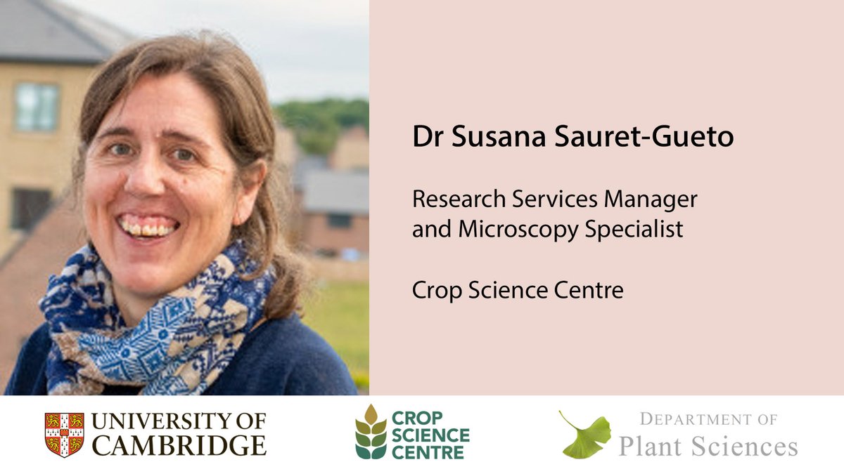 camplantsci's tweet photo. And finally today, please welcome Dr. Susana Sauret-Gueto, Research Services Manager and Microscopy Specialist at @CropSciCentre!

#Womenandgirlsinscience #Womeninscience 

@Cambridge_Uni @Cambridge_SBS @SusanaSaGu  @WomenScienceDay https://t.co/xjHpP5aqBi