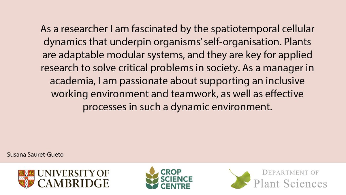 camplantsci's tweet photo. And finally today, please welcome Dr. Susana Sauret-Gueto, Research Services Manager and Microscopy Specialist at @CropSciCentre!

#Womenandgirlsinscience #Womeninscience 

@Cambridge_Uni @Cambridge_SBS @SusanaSaGu  @WomenScienceDay https://t.co/xjHpP5aqBi