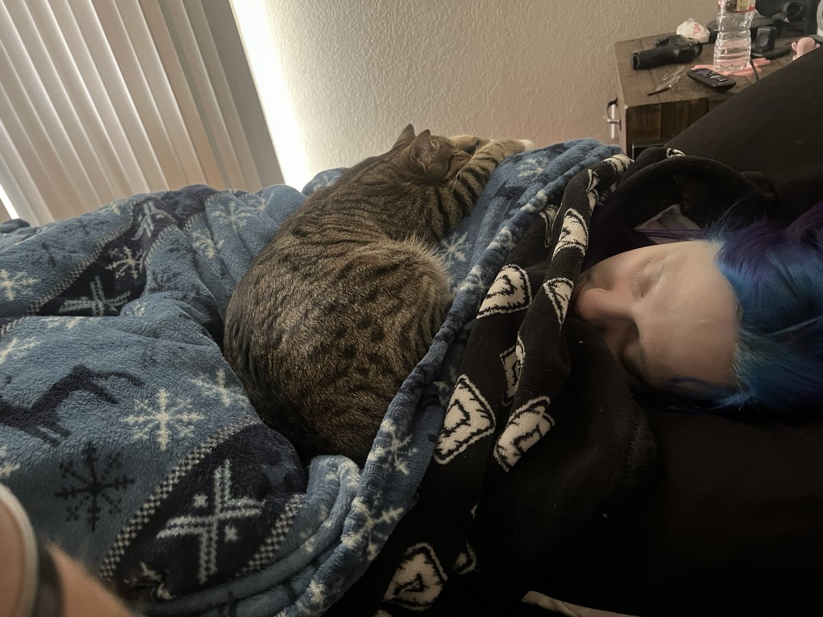 Shane and Ivy Luckey on Twitter: "They sleepin 🤫"