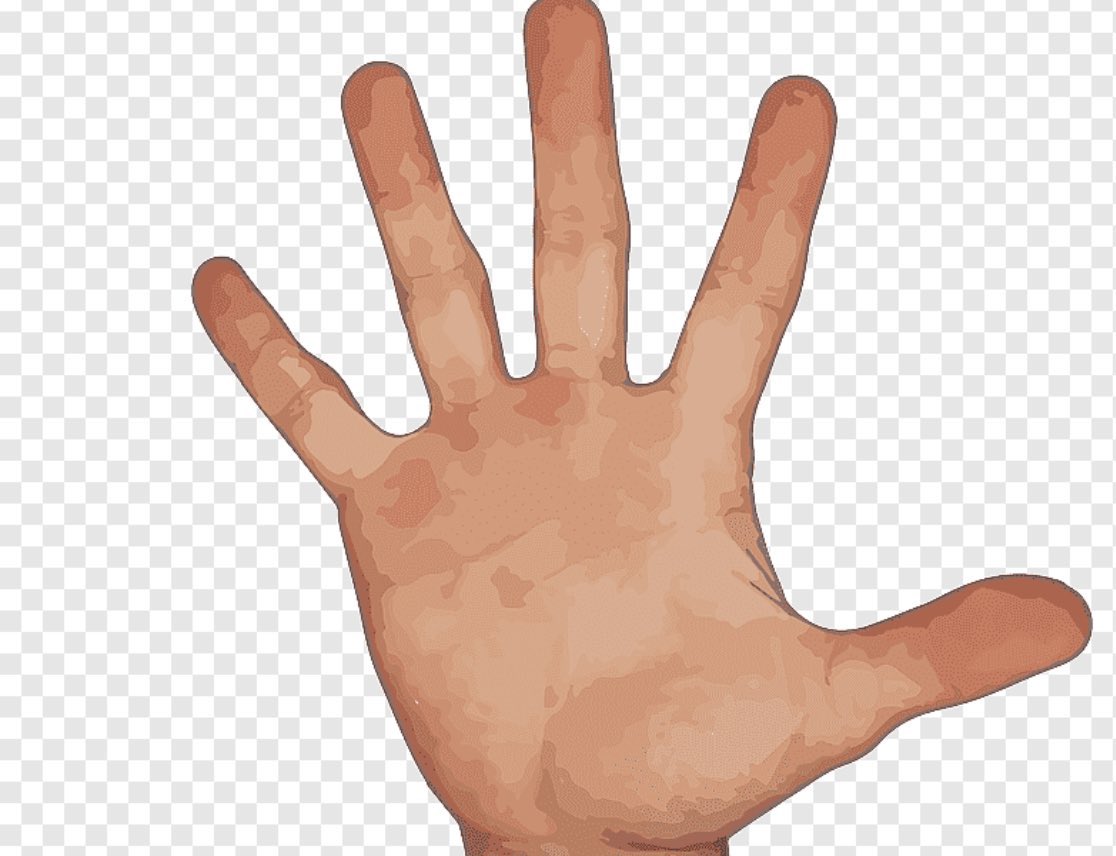 ملُفَت tweet media