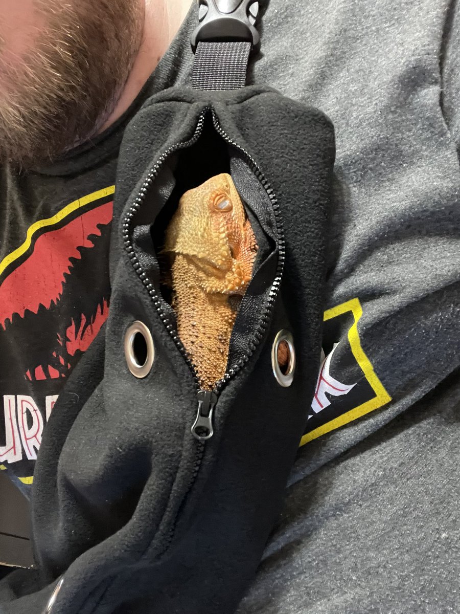 Look who has another new little carrier. Now I can carry her around while wearing my nice school shirts.