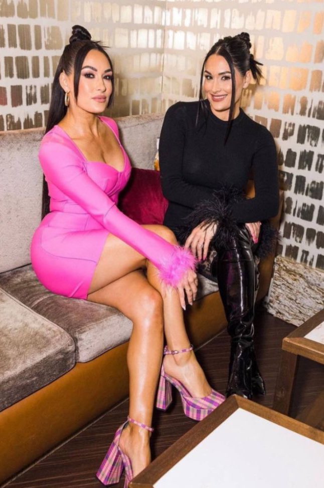 The Bella Twins Were Yelled At For Winning 2013 WWE Diva Of The Year Award 2