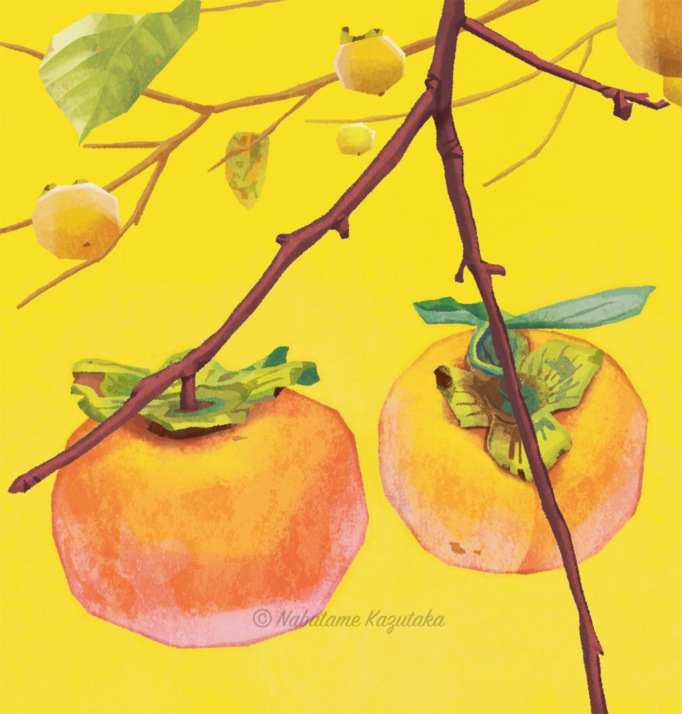 「昔描いた柿です。近所で見つけたヤツです。 」|生田目 和剛 (ナバタメ・カズタカ)のイラスト