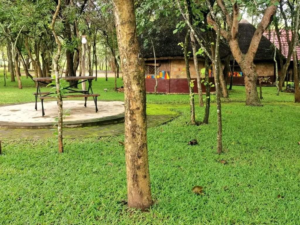 raymondkipkemoi's tweet image. Drought is affecting most parts leading to poor agricultural activities.The human factor should be advised not to cut down trees and not destroy catchment areas like that mau.These are important areas to curb hunger in the country 

#GlobalHungerIndex2022