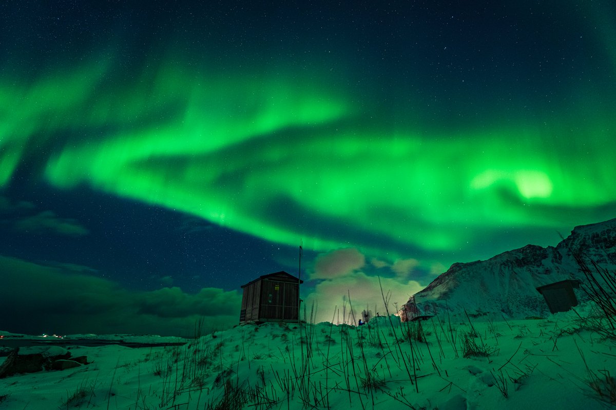 sky_greene's tweet photo. AURORA!!! ✨🐍🌀 https://t.co/0oLsICgzkJ