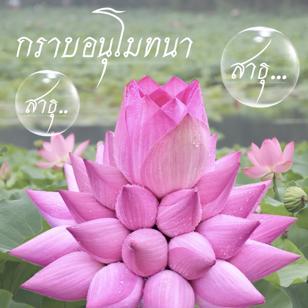 nichaning17's tweet photo. @baibua2799 https://t.co/EuTFMaOlEd