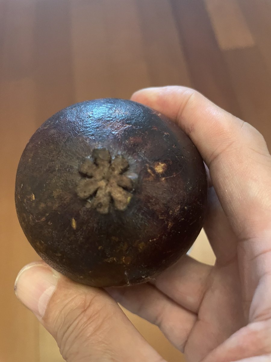 kikopangilinan's tweet photo. Did you know that if there are seven ‘petals’ in this flower mark on the mangosteen fruit, there are also seven ‘slices’ of the fruit inside? Six ‘petals’ outside makes six slices inside and so forth.

Wala lang. Mangosteen trivia. Good morning!! https://t.co/uDKutAMamT