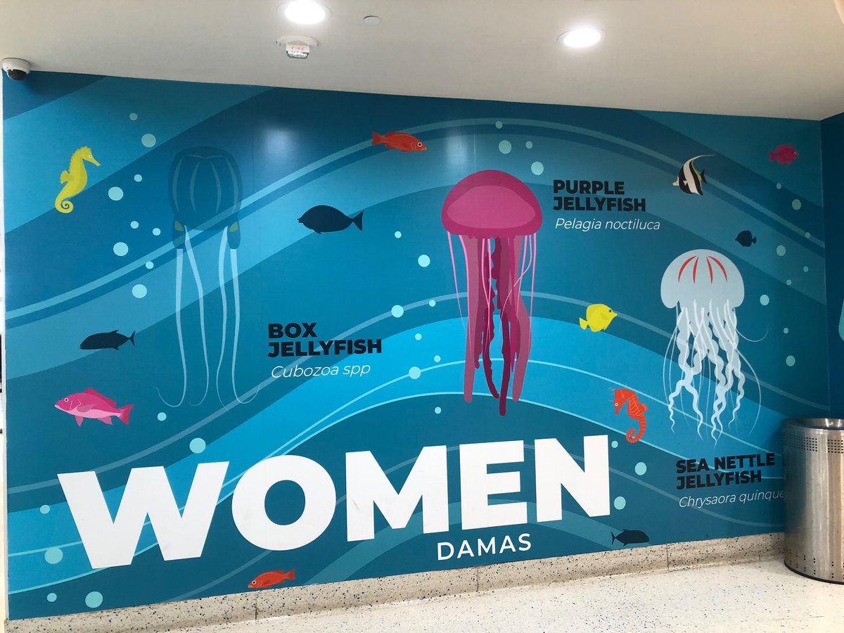 Women: the Jellyfish of land