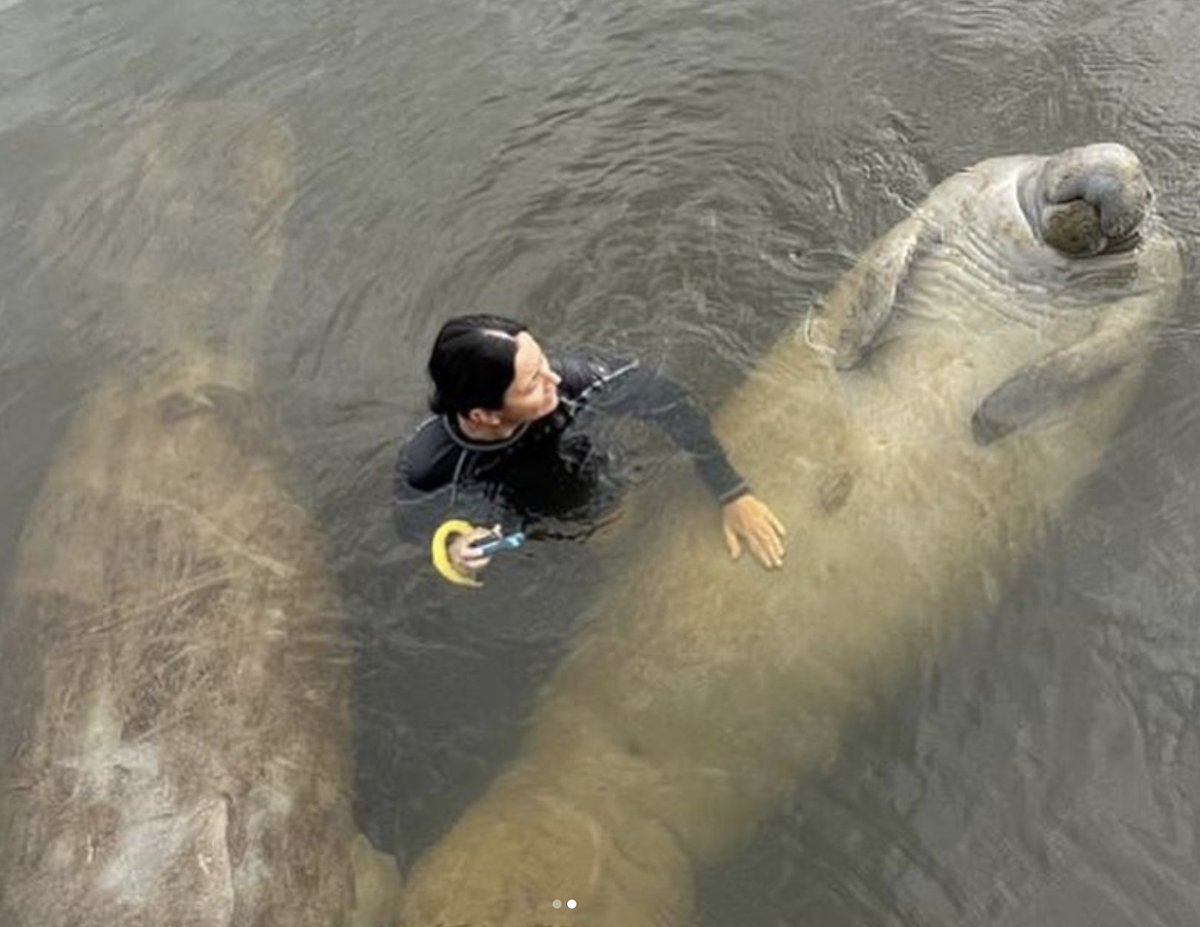 Nataly Castelblanco tweet media