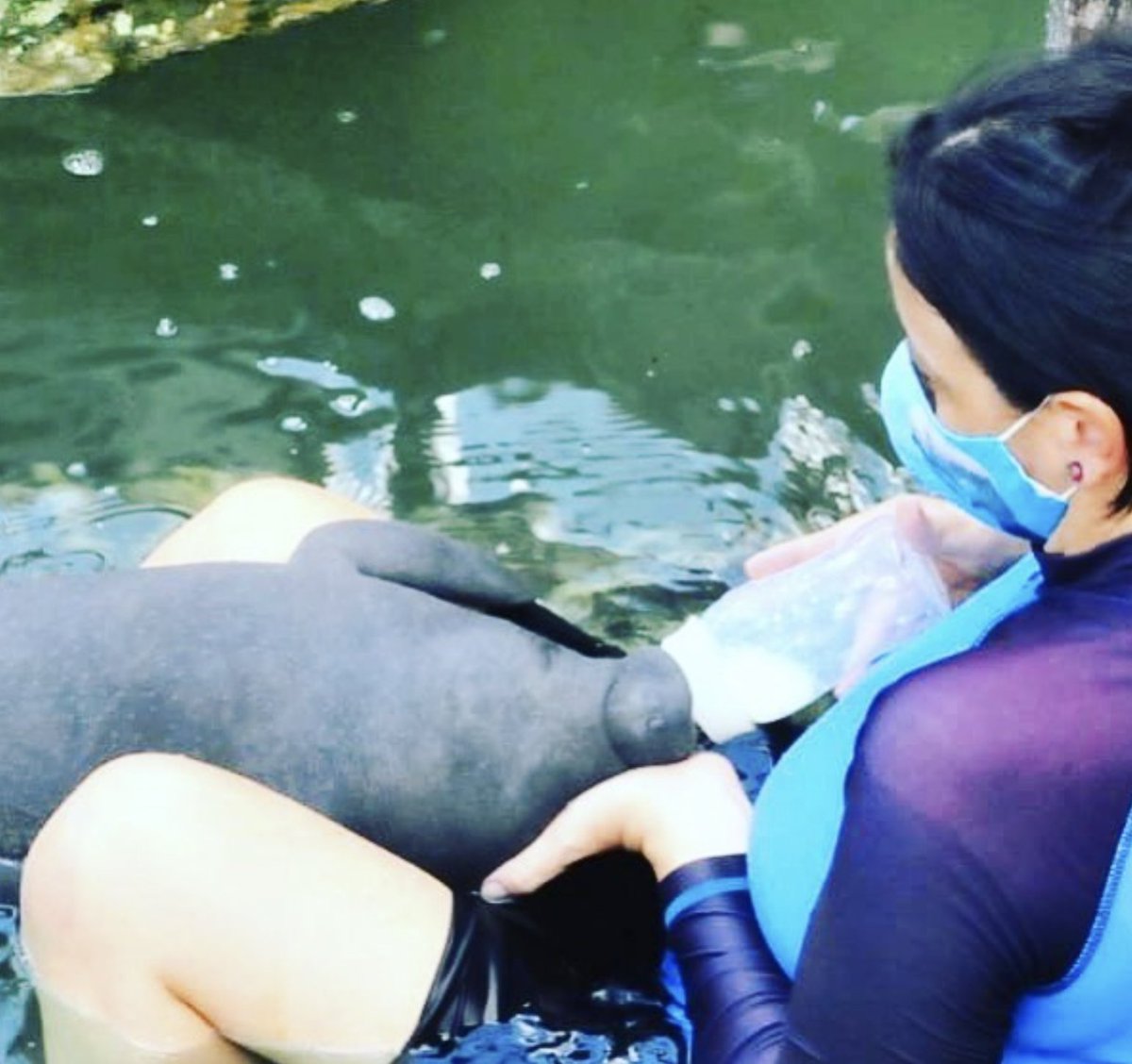 Nataly Castelblanco tweet media