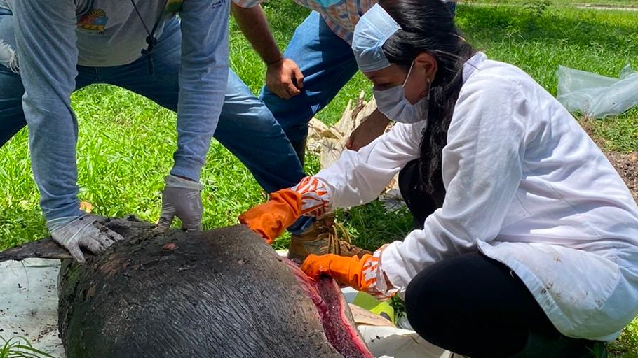 Nataly Castelblanco tweet media