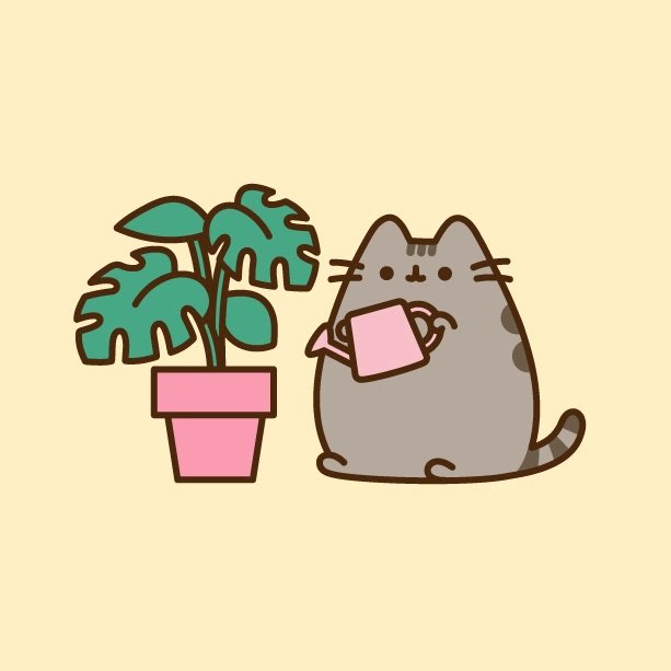 little guy alert! here is pusheen the cat