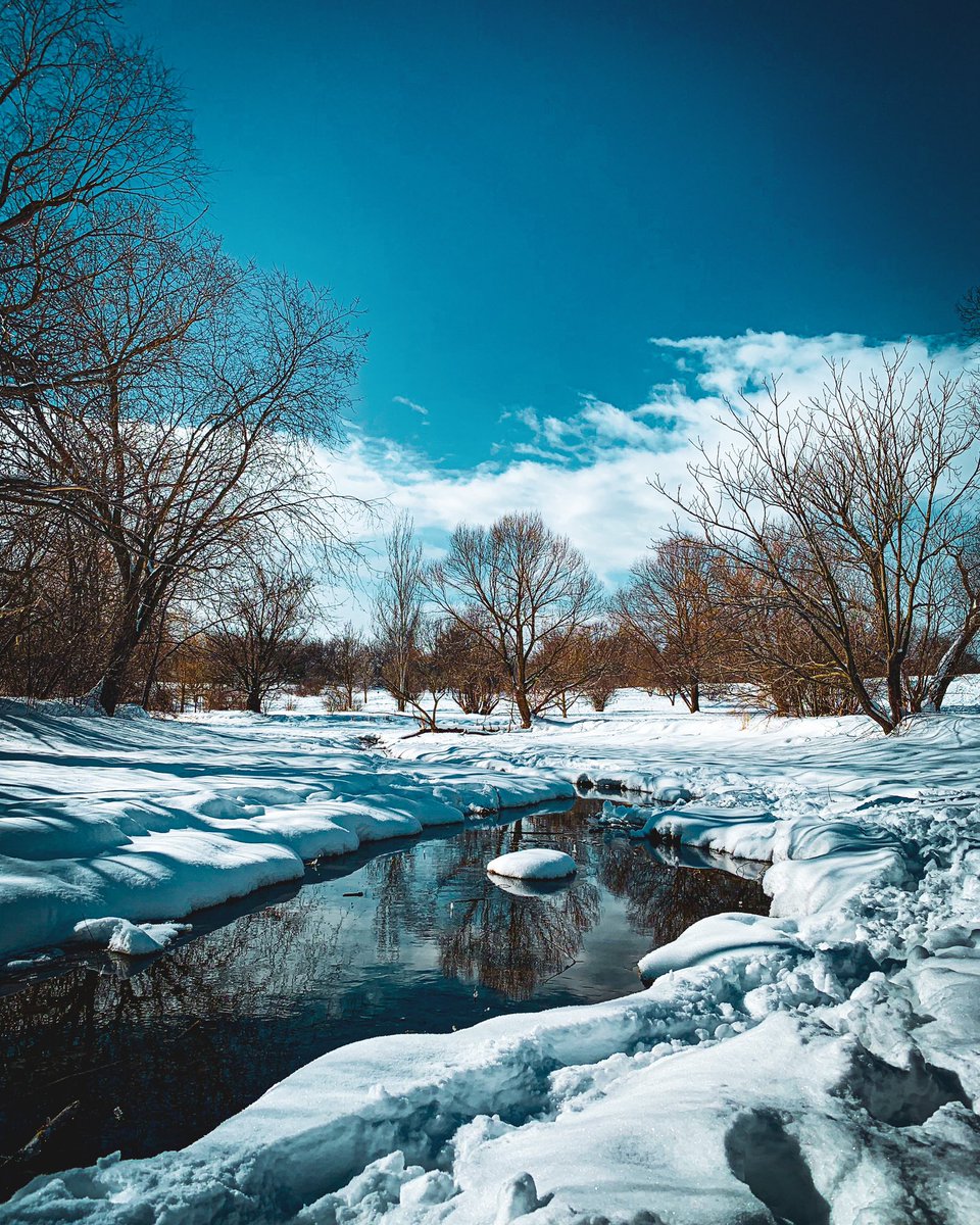 The Dominion Arboretum at the Central Experimental Farm instagram.com/p/Coi4cpUDnPd/…

#ottawa #ottawatourism #ottawaphoto #ottawabusiness #yow #OttawaLife #MyOttawa #VirtualMeet613 #DiscoverON #ExploreCanada