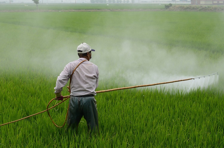 Glifosato: la victoria del dinero sobre la ciencia bit.ly/2jw0MV8 #medioambiente #STOPGlifosato