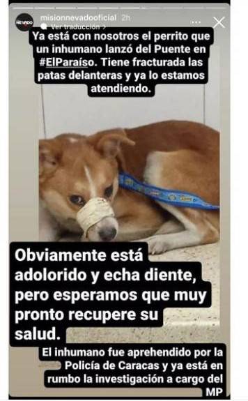 PerroUsuario's tweet photo. #ACTUALIZACIÓN 🐕 lanzado del Distribuidor Baralt vía  @SomosNevado https://t.co/Rfz5G3FK3c