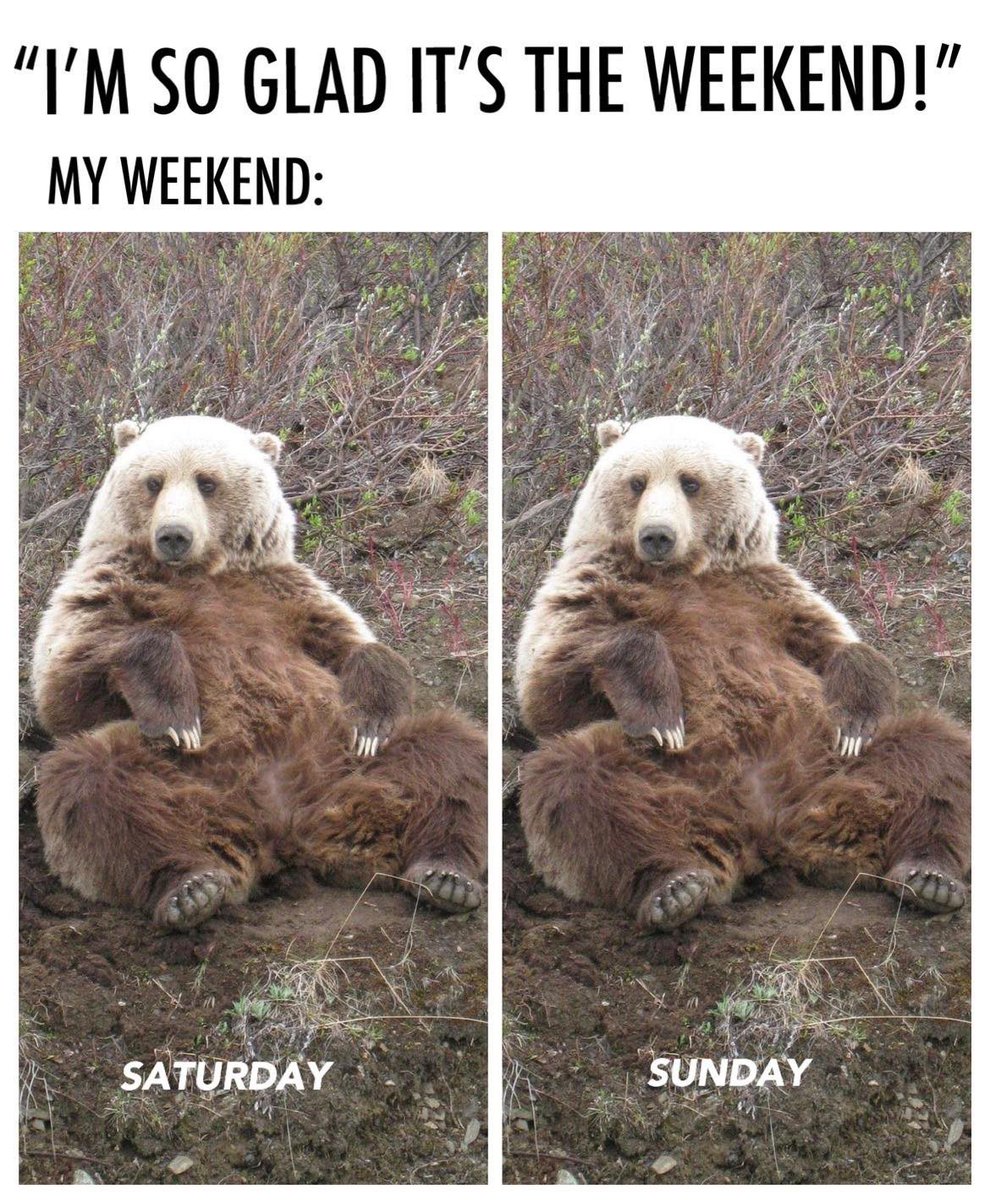 Here’s to a #WildWeekend.