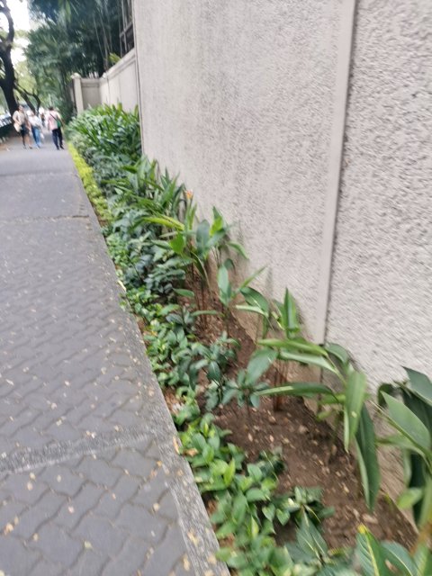 PinasGood's tweet photo. gbpprime found # in a User vault at this location! Join me playing #coinhuntworld, It's awesome! https://t.co/CEiLf9Ffq3 #cryptocurrency #172065 https://t.co/HfnWRjY9vb